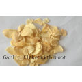 Garlic Flake Withroot Top Qualtiy Air Dehydrated